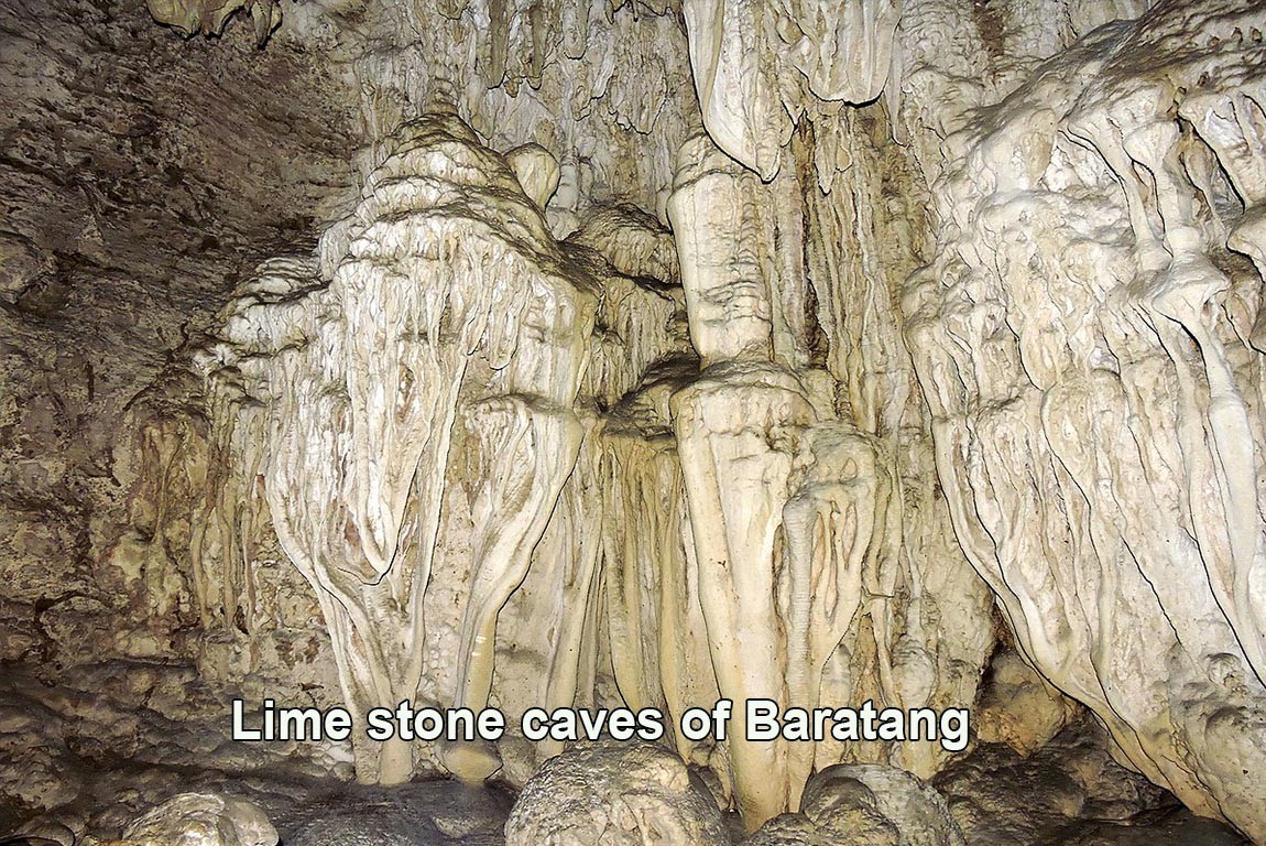 Lime stone caves in baratang island.jpg